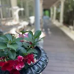 Park Cellini 4* Lido di Jesolo