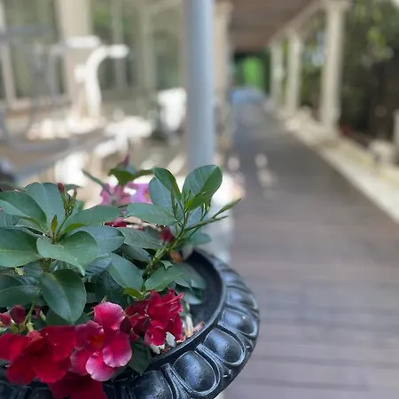 Park Cellini 4* לידו די ג'סולו