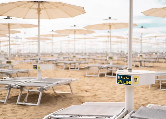 酒店 切利尼公园酒店 4*