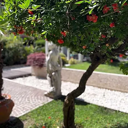 Park Cellini فندق