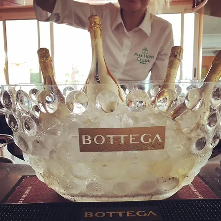 切利尼公园酒店 利多迪迪耶索洛
