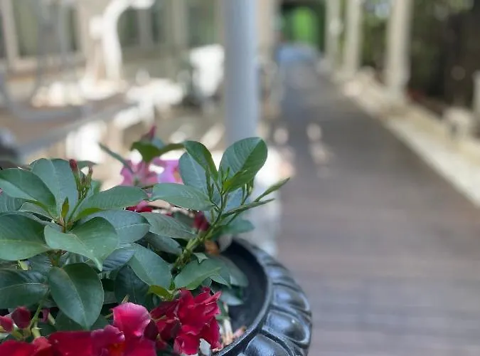 Park Cellini 4* Lido di Jesolo